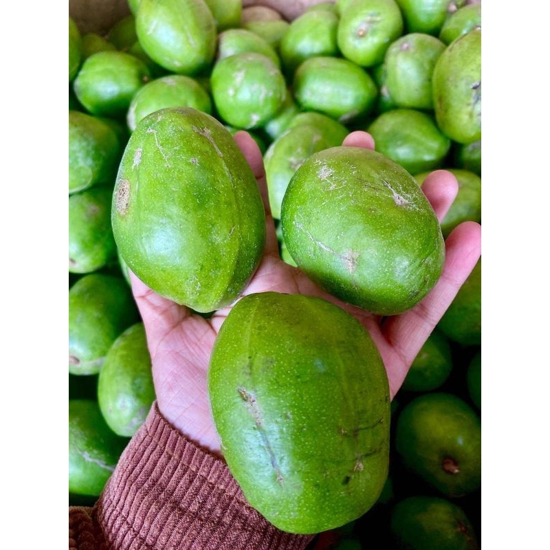 

1 kg kedondong bangkong