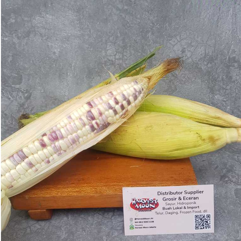 

HarvestMoon Jagung Ketan Super Legit Per Dus