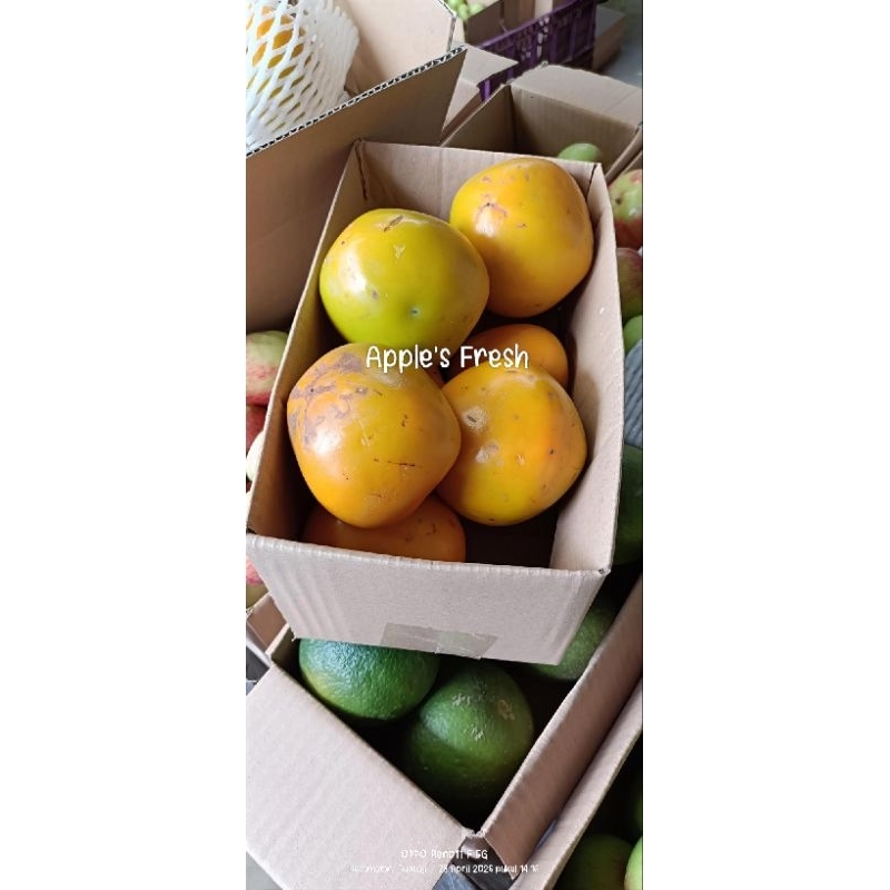 

Buah persimon atau kasemek lokal tanpa bedak 1kg