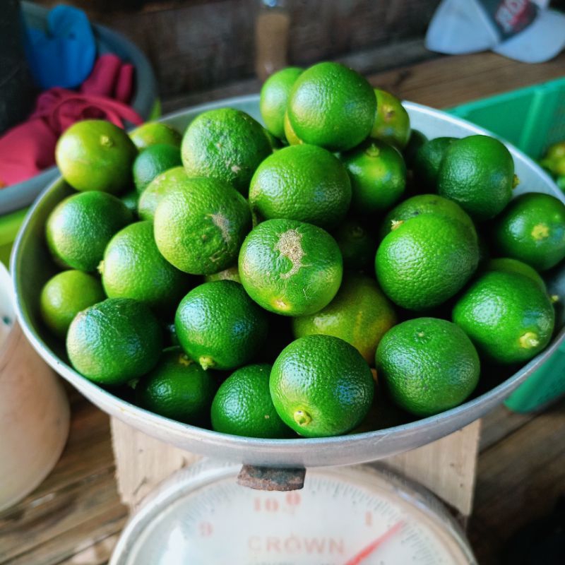 

1kg jeruk sonkit jeruk peras jeruk lemncui jerukkalamanis jeruk peras jeruk peras siam