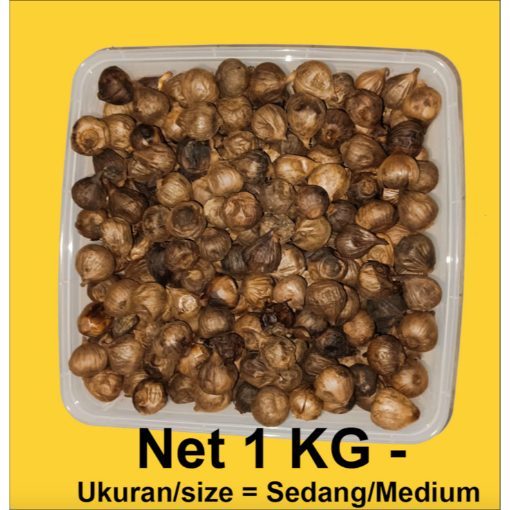

Black GARLIC BAWANG Lanang Tunggal Ukuran Medium/Sedang/Tanggung 1 KG - S