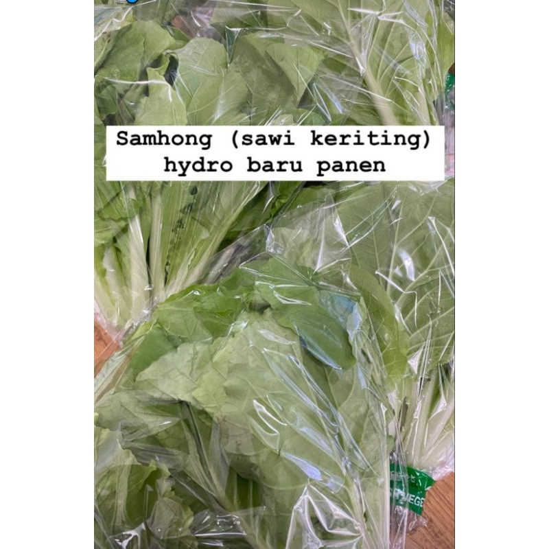 

samhong sawi keriting 200 gram