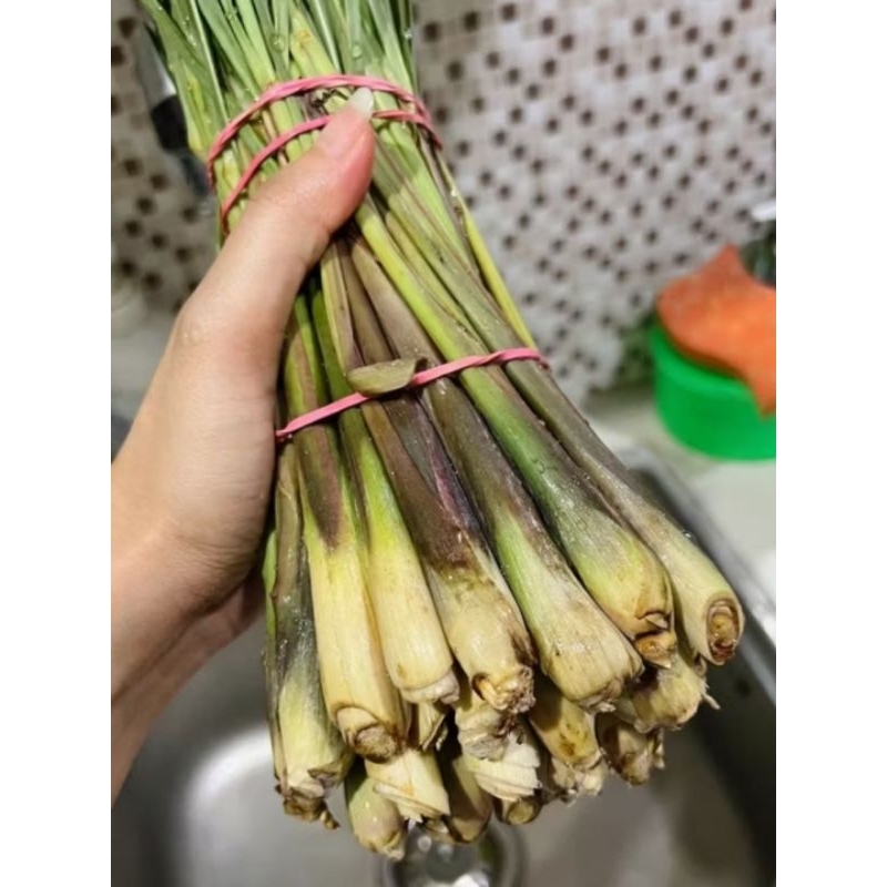 

Sereh Segar 100% Fresh