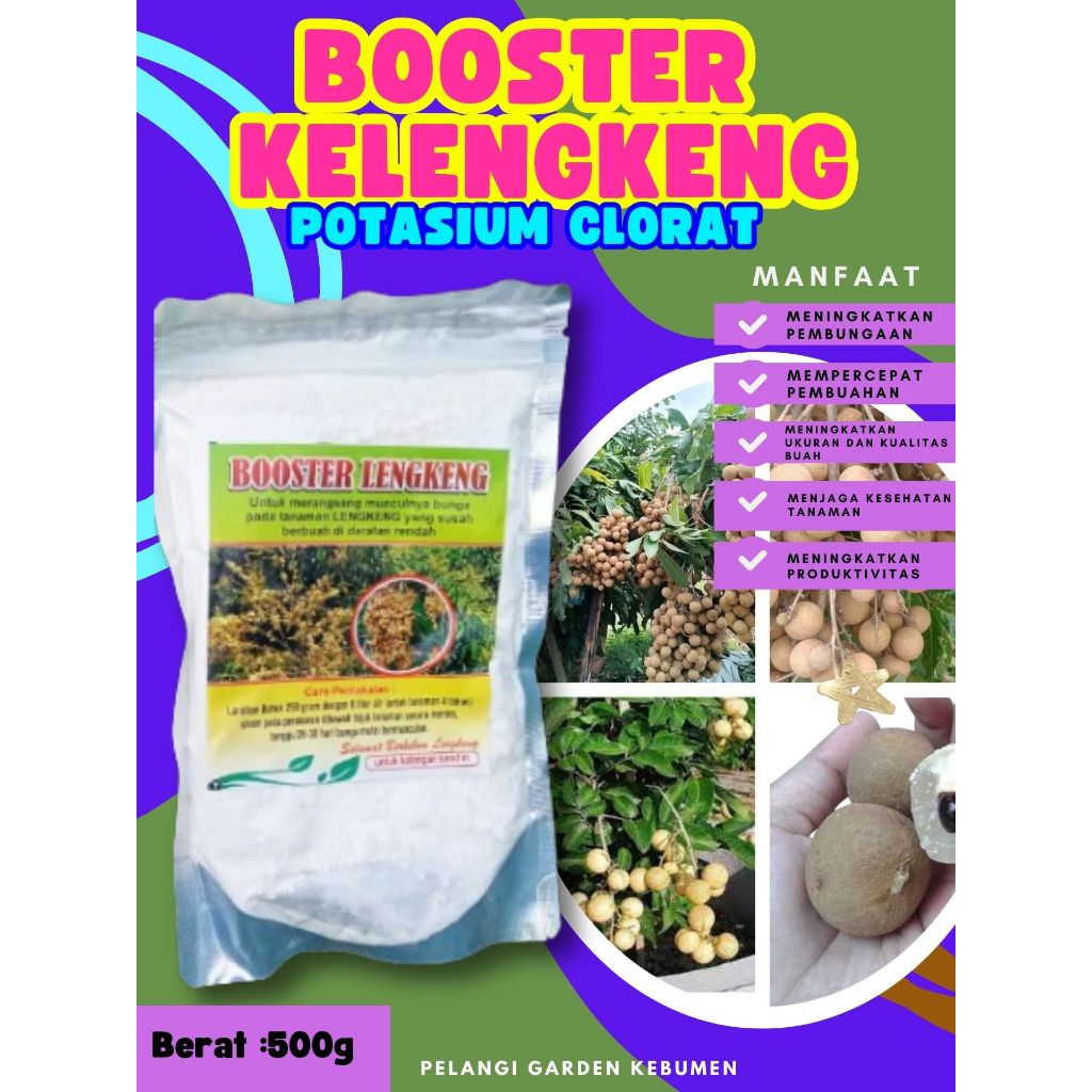 TERBAIK  Boster Kelengkeng Aroma Durian, Boster Kelengkeng Bubuk, Boster Kelengkeng Berbuah