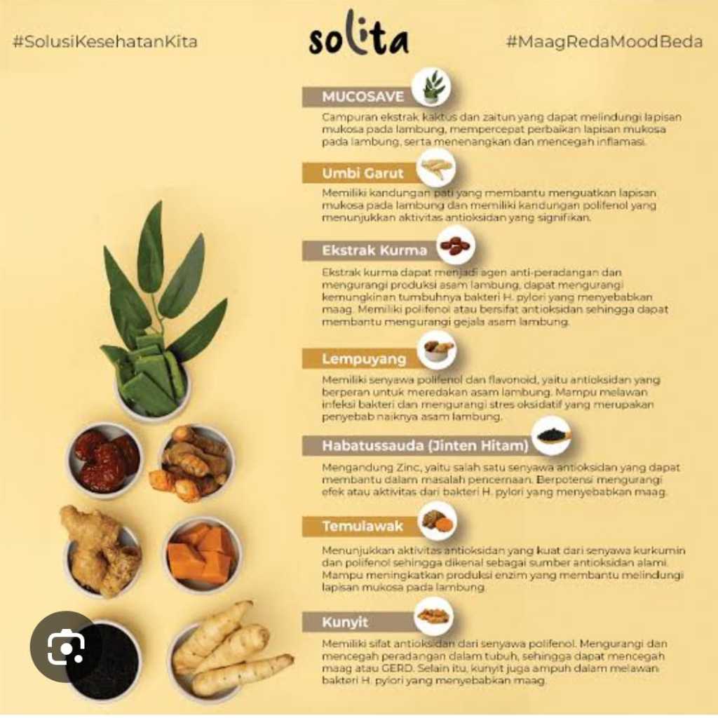 

SOLITA umbi Garut pereda asam lambung