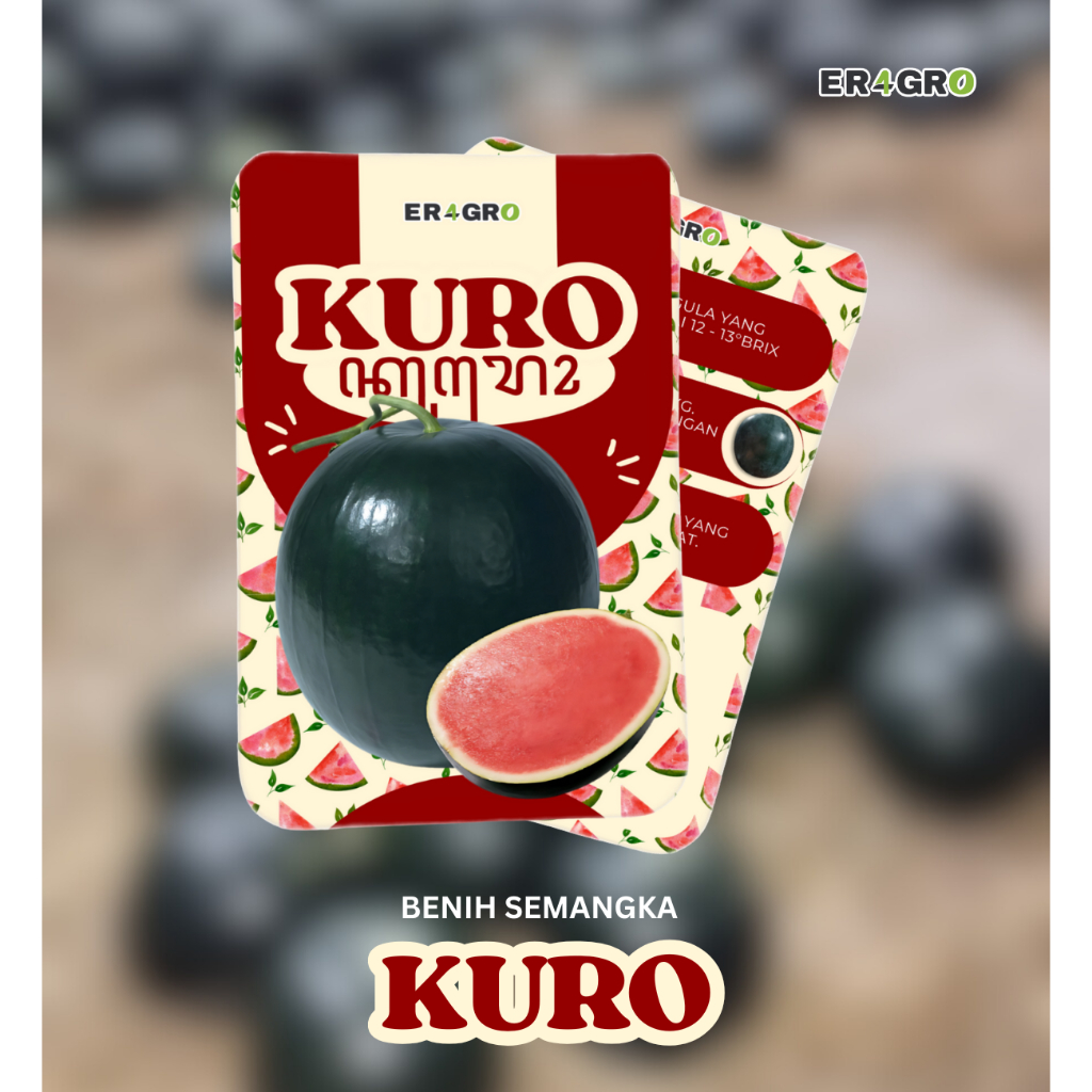 Benih Semangka tanpa biji "KURO