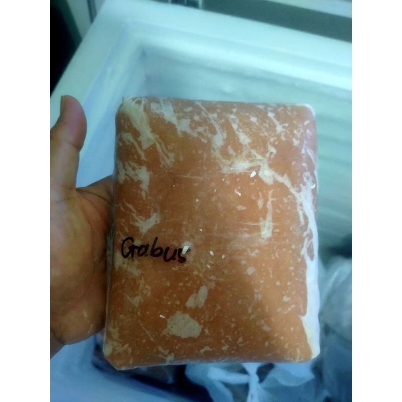 

gabus sungai giling super