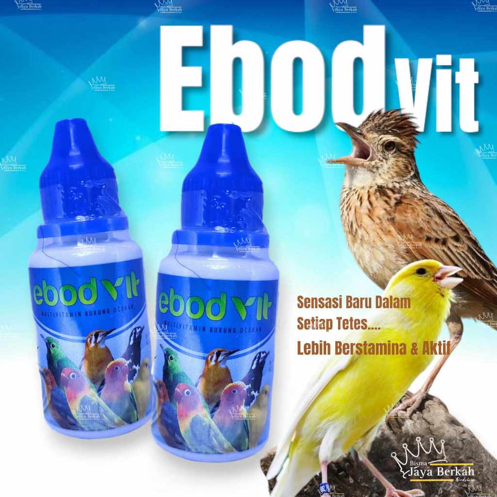 EBOD VIT VITAMIN BURUNG ORIGINAL