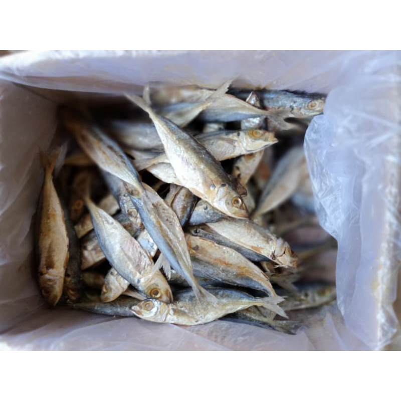 

Ikan Asin Selar Sedang