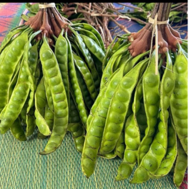 

Pete tua kualitas super isi 10 papan