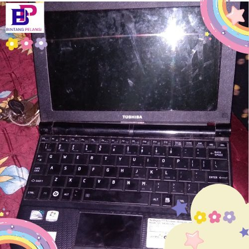 LCD LEPASAN NOTEBOOK TOSHIBA TIPE 250