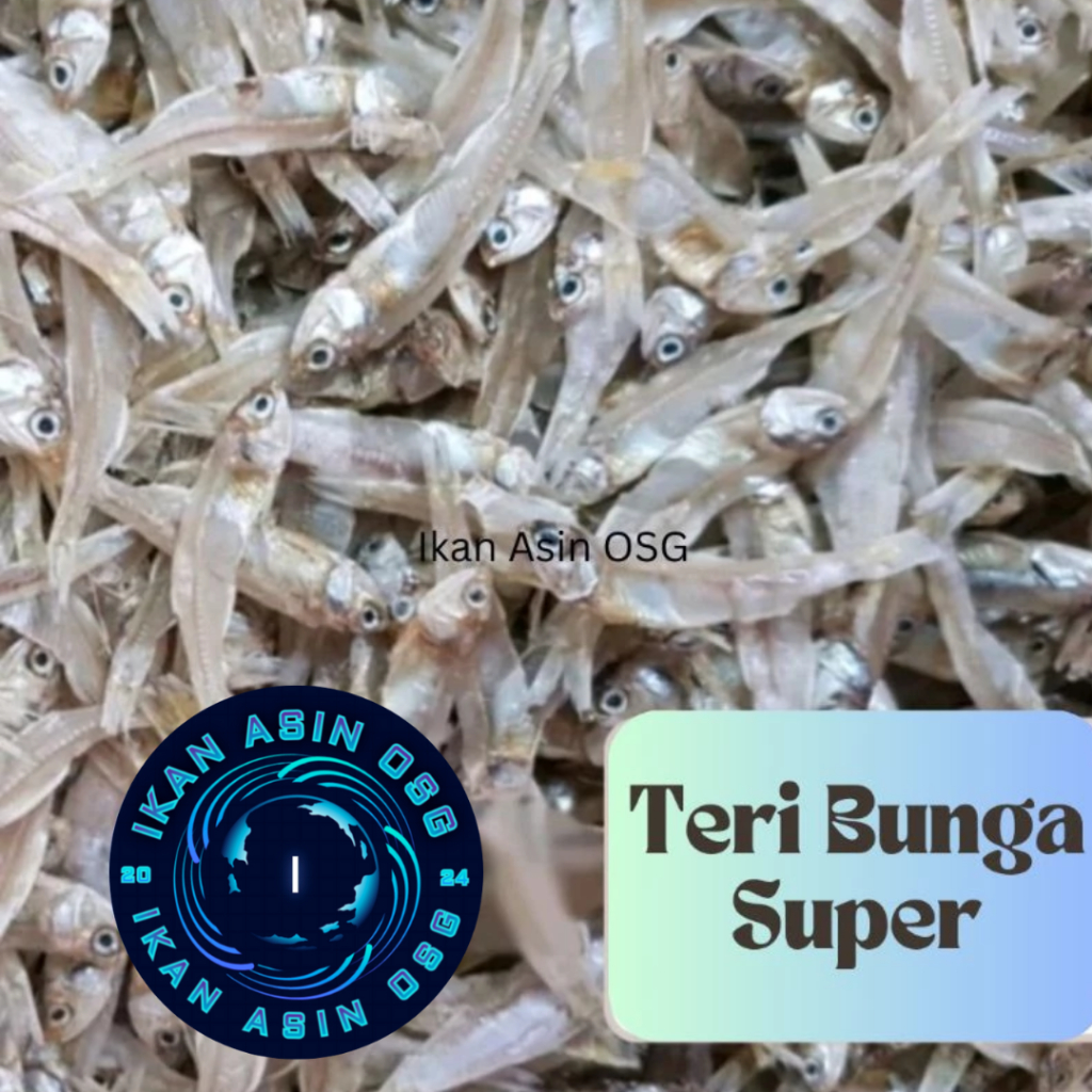 

Ikan Asin Terasi/Belacan Asli Bagansiapiapi Rokan Hilir Isi 10 keping/bungkus