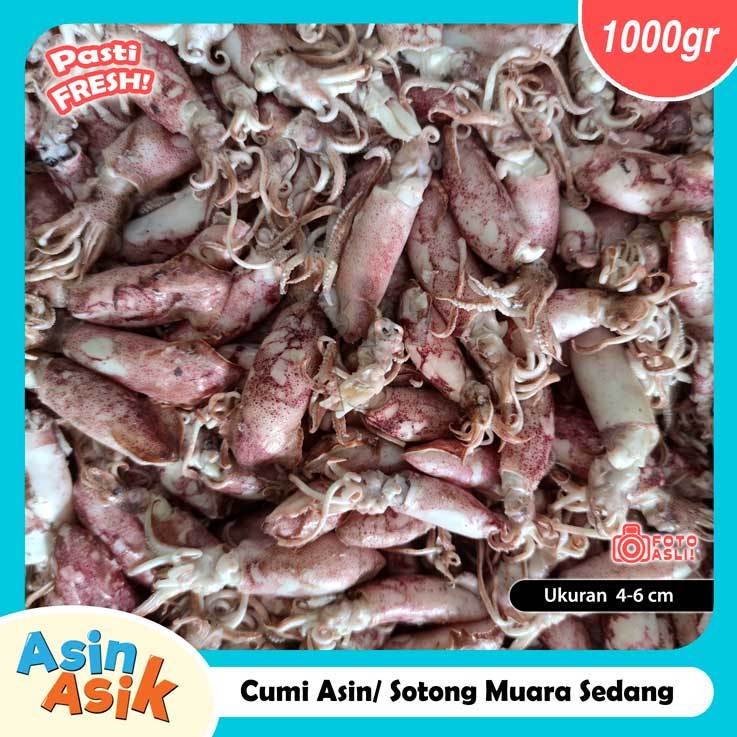 

Cumi Asin Muara Sotong Jumbo Premium Kualitas Super Segar Fresh 1kg Kemasan Vakum
