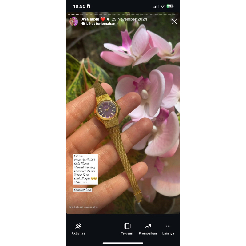 Citizen 1964 Rare Watch