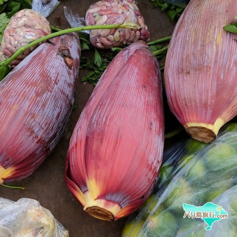 

Jantung Pisang Organik – Langsung dari Kebun, Fresh & Bersih
