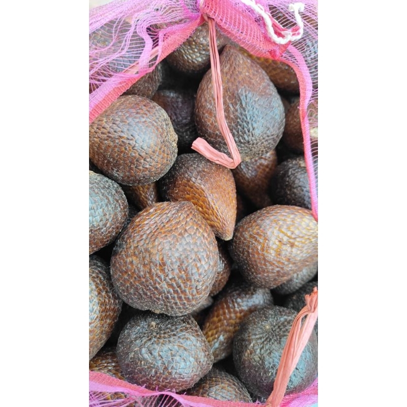 

salak pondoh maniiisss