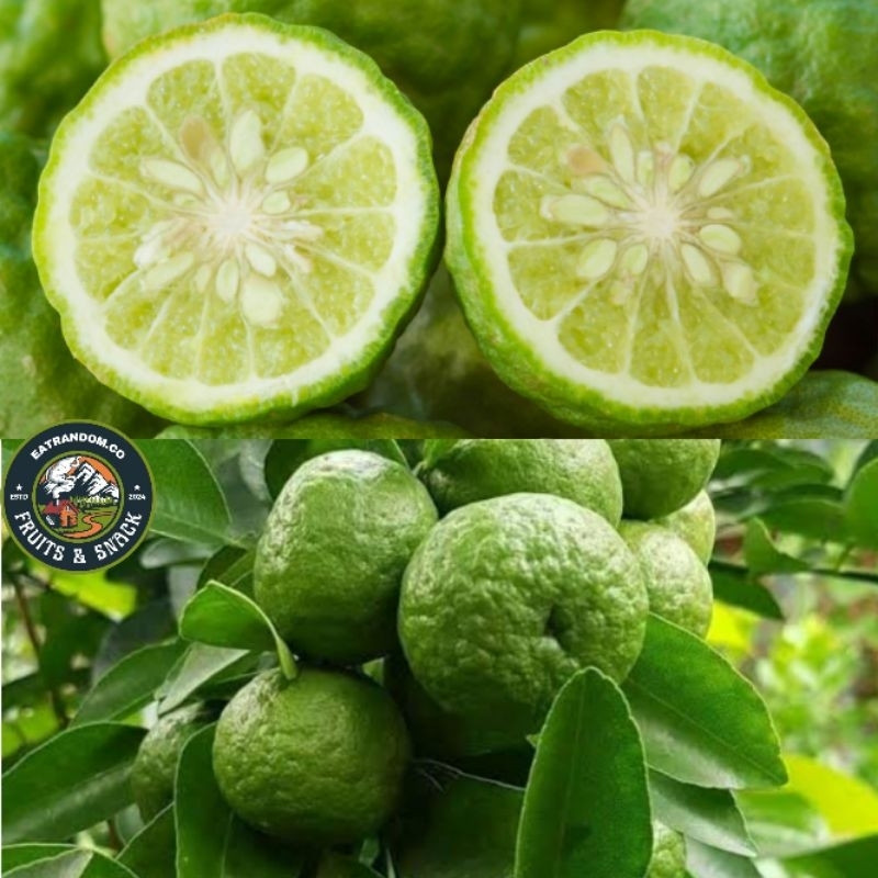 

jeruk limau/limo/Sambel freh harga spesial per 1kg