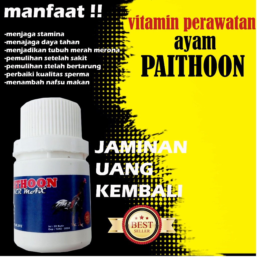 Paket MULTIVITAMIN PAITHOON Ayam Bangkok Filipin Laga Aduan