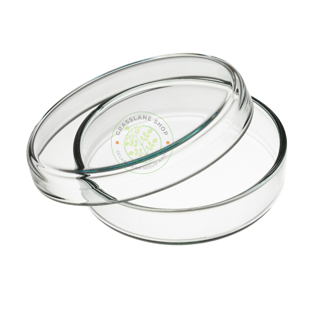 Petridish Kaca 150x25 mm Cawan Petri Dish 150 x 25 Anumbra