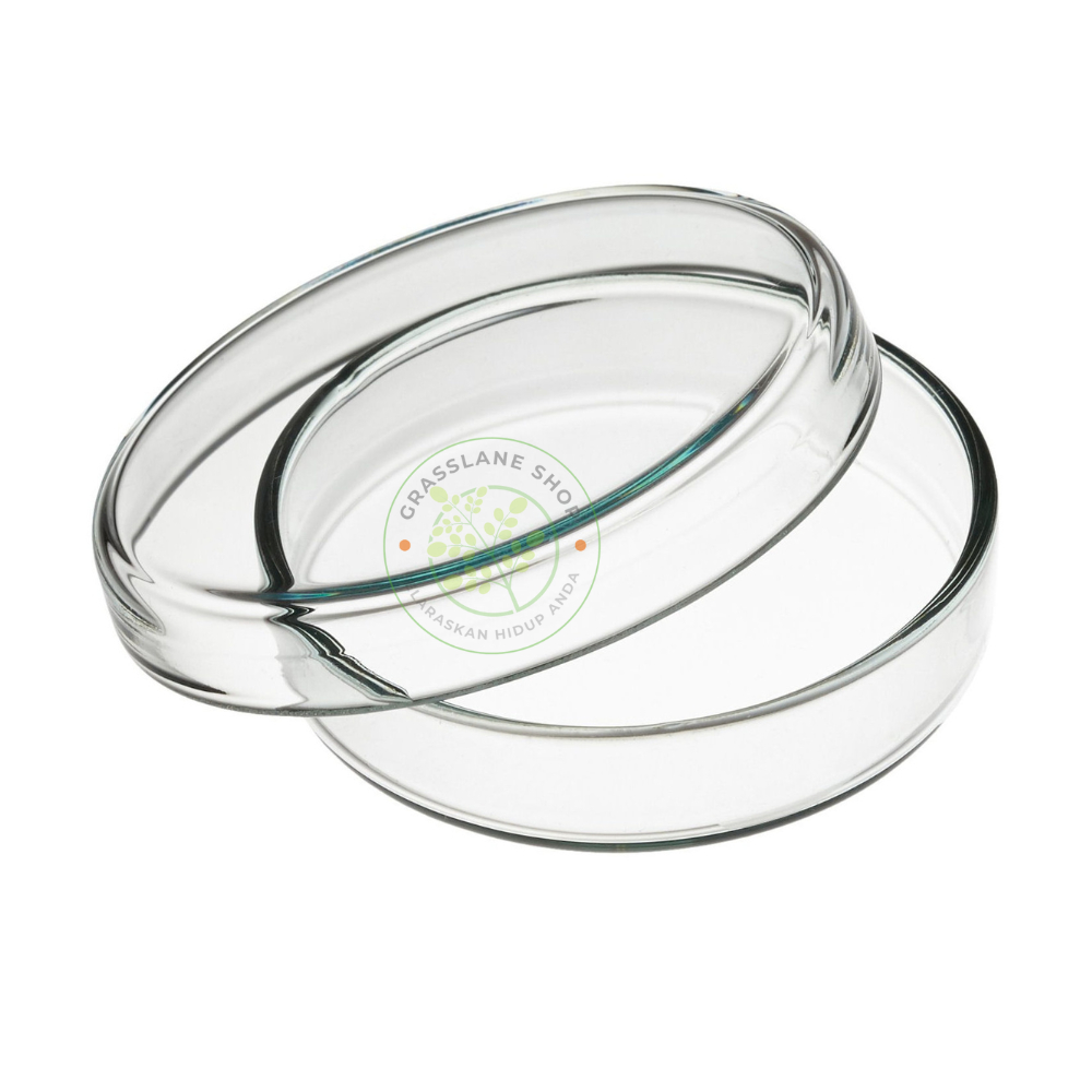 Petridish 120x20 mm Cawan Petri Dish 120 x 20 Anumbra