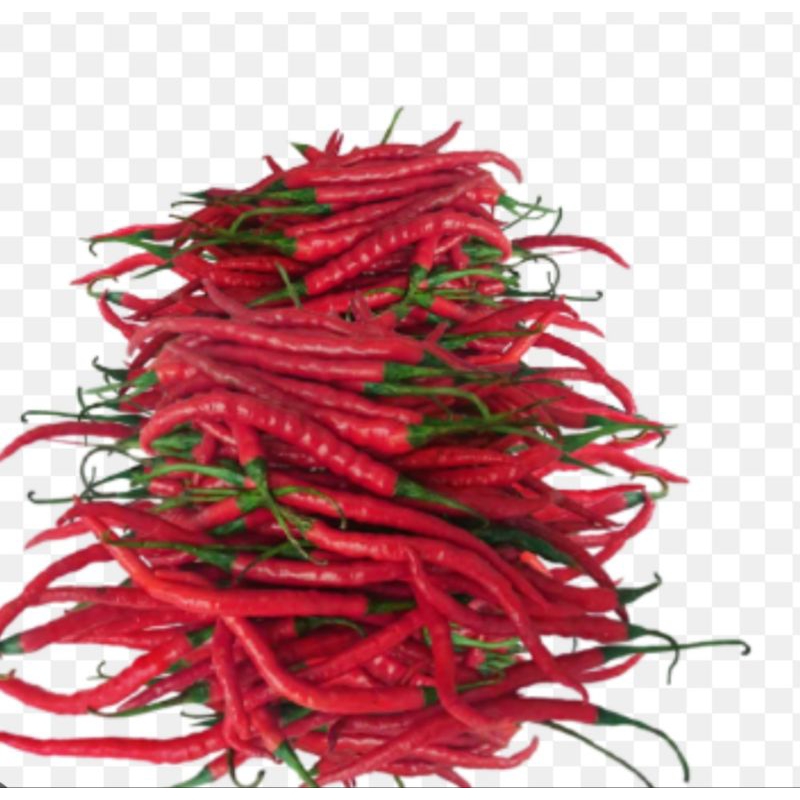 

cabe/cabe kriting merah