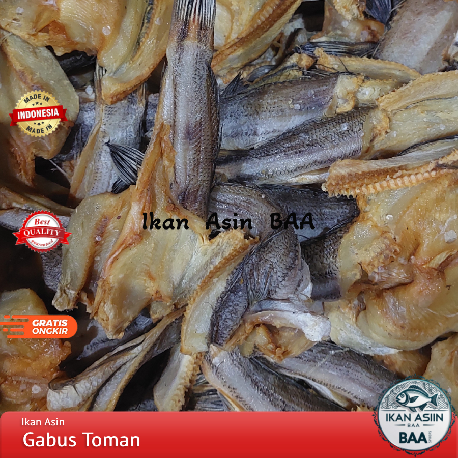 

Ikan Asin Gabus Toman Asli Kalimantan