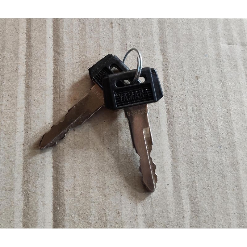 bahan duplikat kunci RX king original (2pcs) sudah di ukir