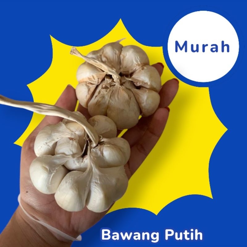 

Bawang Putih