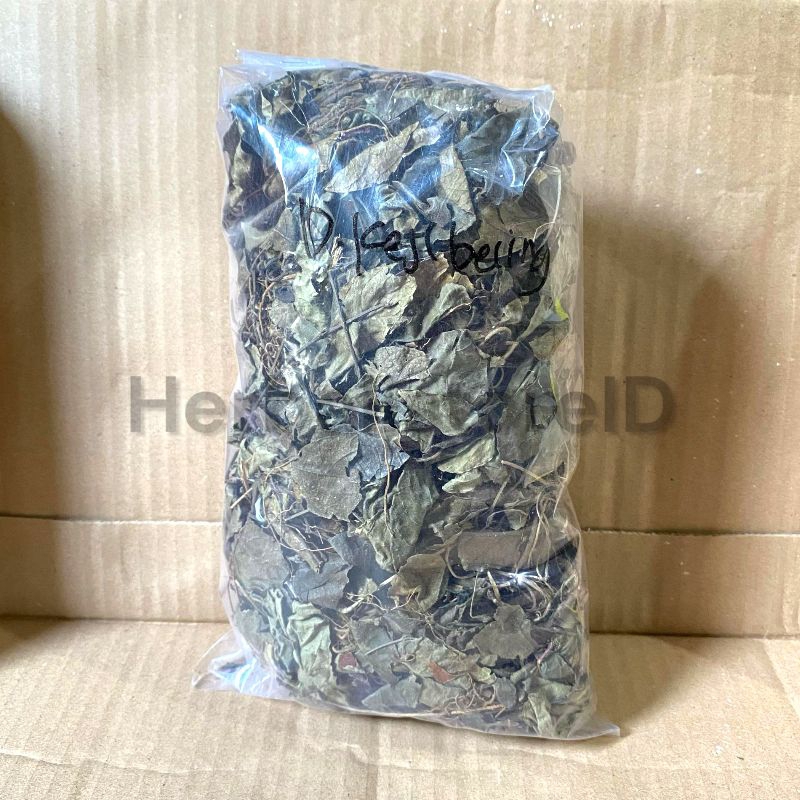 

Daun Kejih Bening/ Kejih Beling Ampuh Mengatasi Batu Ginjal