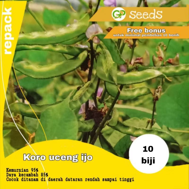 benih koro uceng ijo