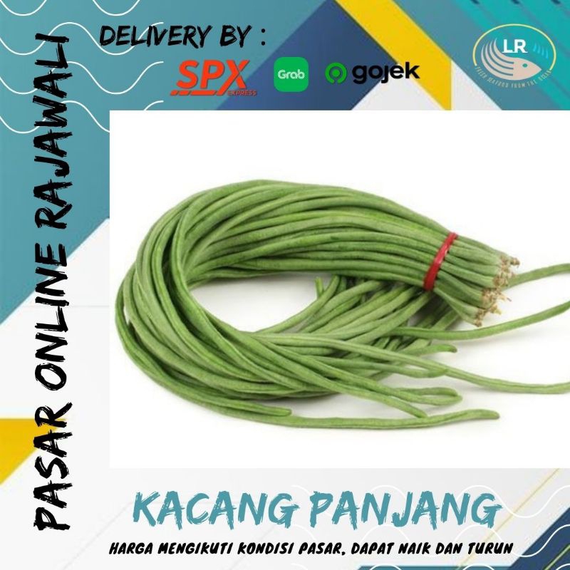 

Kacang panjang