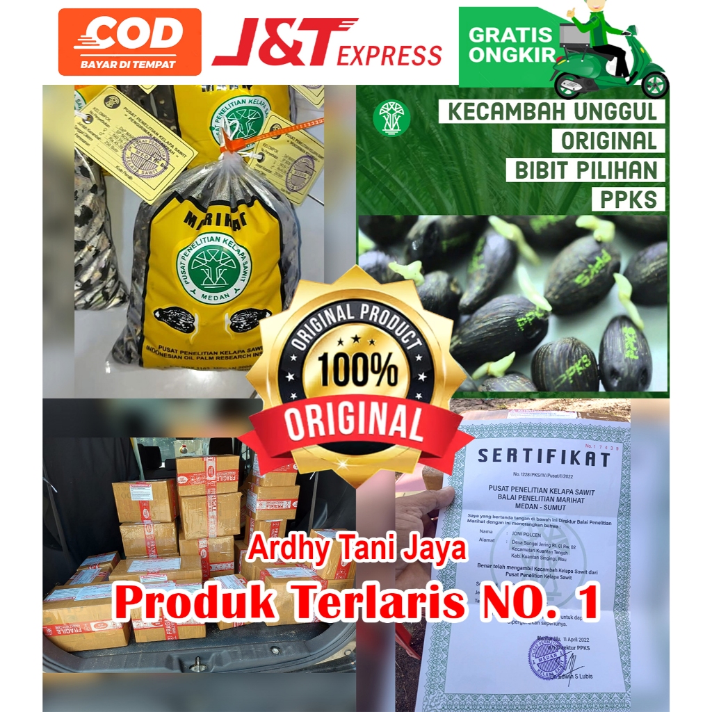 PPKS DxP MARIHAT UNGGUL DAPAT SERTIFIKAT