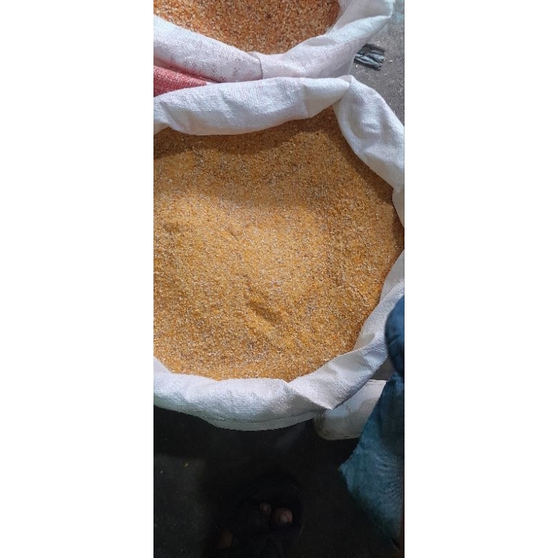 

JAGUNG MENIR PER 1 KILOGRAM