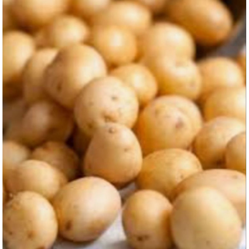 

KENTANG KECIL (kentang rendang ) RP 6.000 / 500 GRAM