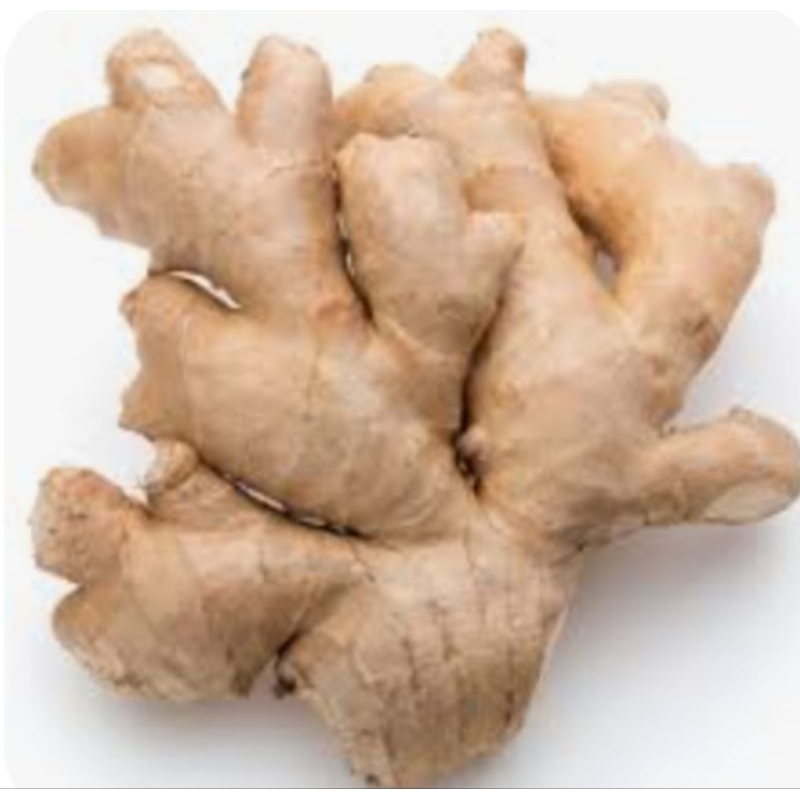 

JAHE EMPRIT SUPER RP 12.000 / 250 gram