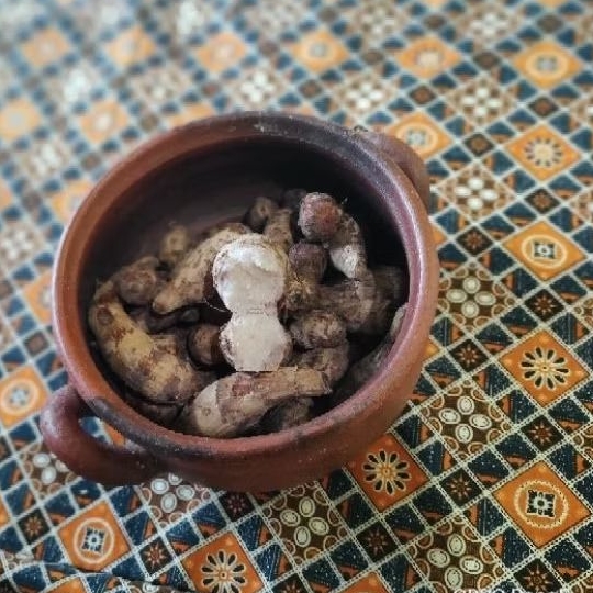 

Kimpul Ketan Lereng Muria
