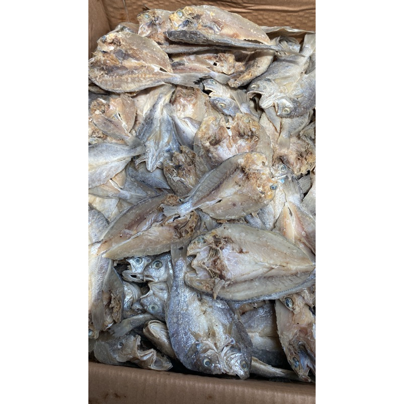 

IKAN ASIN GULAMA