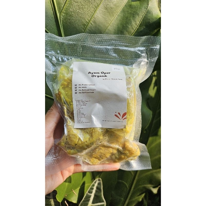 

Ayam Opor Organik isi 2 potong ayam
