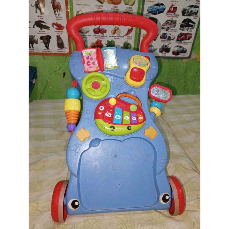 Push walker