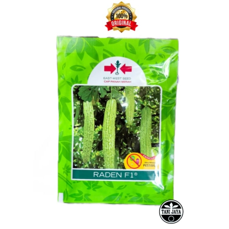 RADEN F1 PANAH MERAH