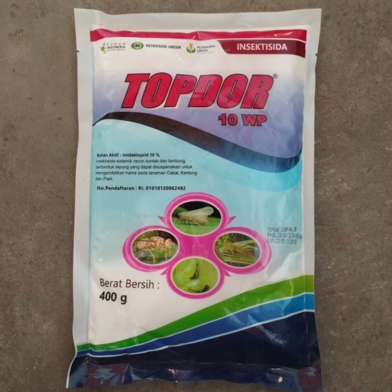 TOPDOR 10 WP (400 gr)