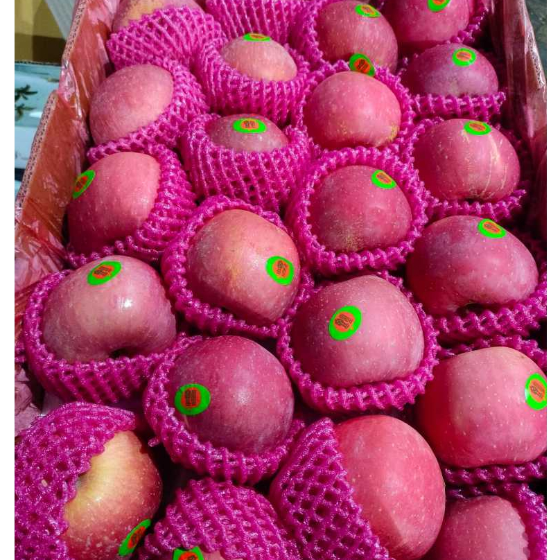 

APEL FUJI FRESH / BUAH APEL FUJI SEGAR 1 KG PREMIUM