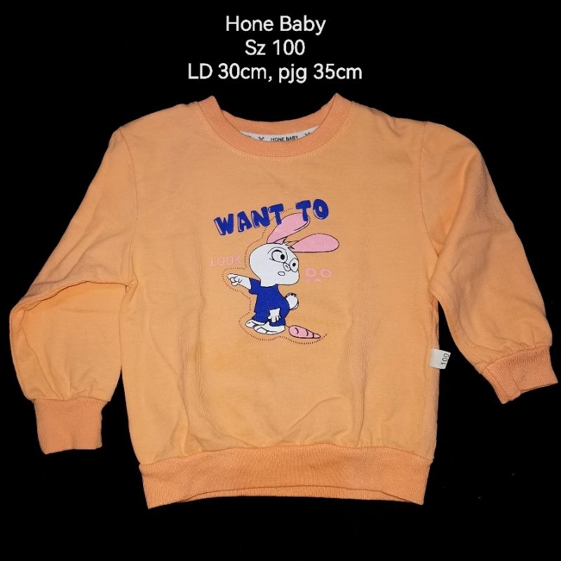 Preloved Baju Kaos Atasan Lengan Panjang Sweater Anak Perempuan Branded Hone Baby