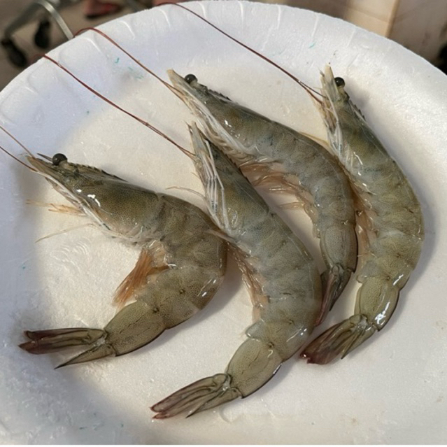 

udang fresh besar size40 bisa dikupaskan