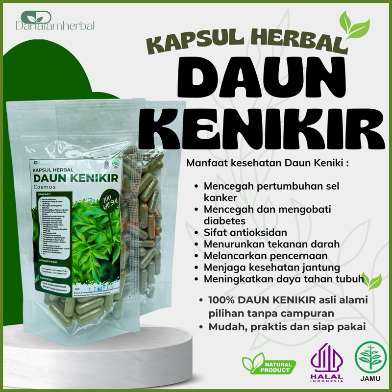 Kapsul Herbal DAUN KENIKIR isi 100 kapsul | Kapsul Sejuta manfaat asli 100% Daun Kenikir Alami