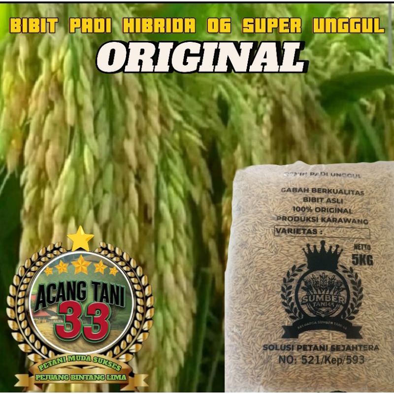 BENIH BIBIT PADI HIBRIDA 06 ORIGINAL SUPER UNGGUL (5KG).