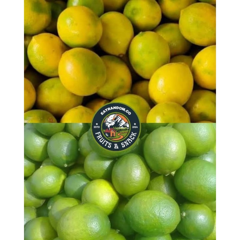 

suur lemon California 1kg | ukuran besar 5-8 butir