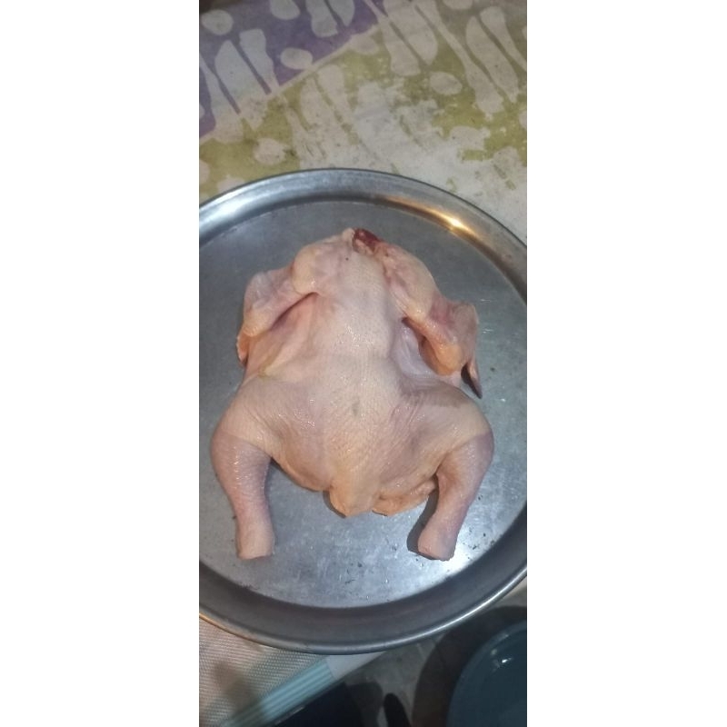 

Ayam Utuh 1kg