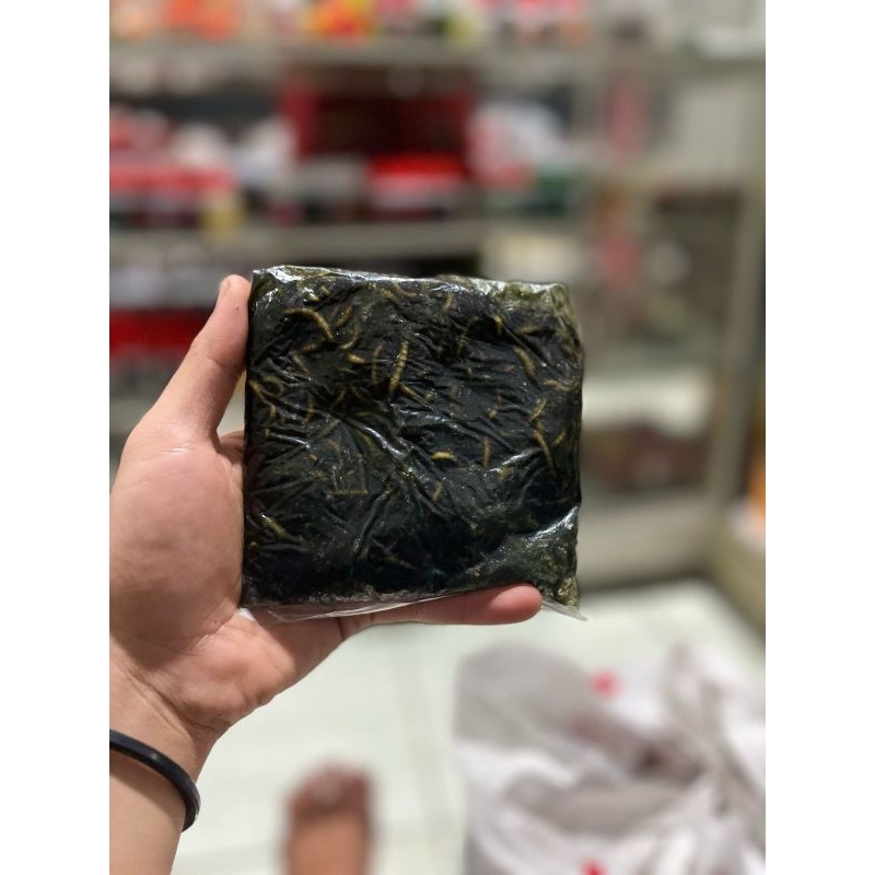 Umpan Cendil Hongkong ( Umpan Galatama Lele siap pakai )