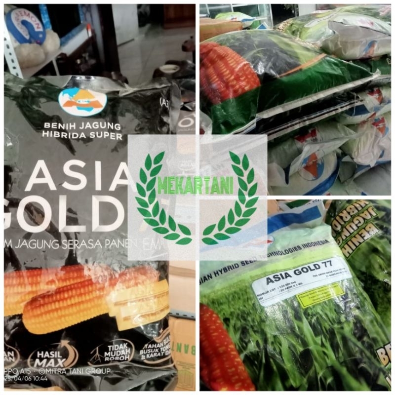 benih jagung asia gold77 1kg & benih jagung hibrida R7 red & R7 Gold 1kg